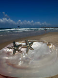 Starfish-shaped earrings on a shell with a beach background