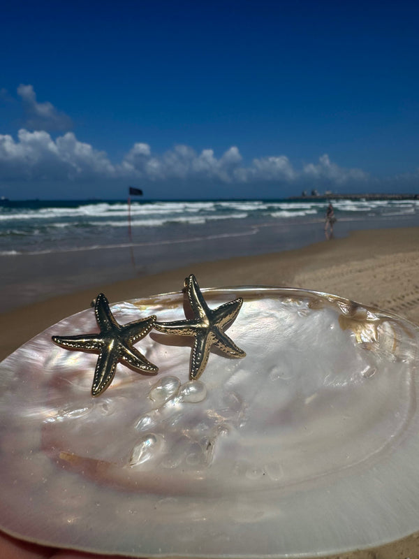 Starfish-shaped earrings on a shell with a beach background