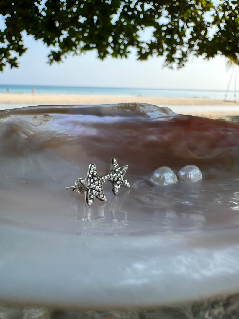 Starfish-shaped earrings on a shell with a beach background