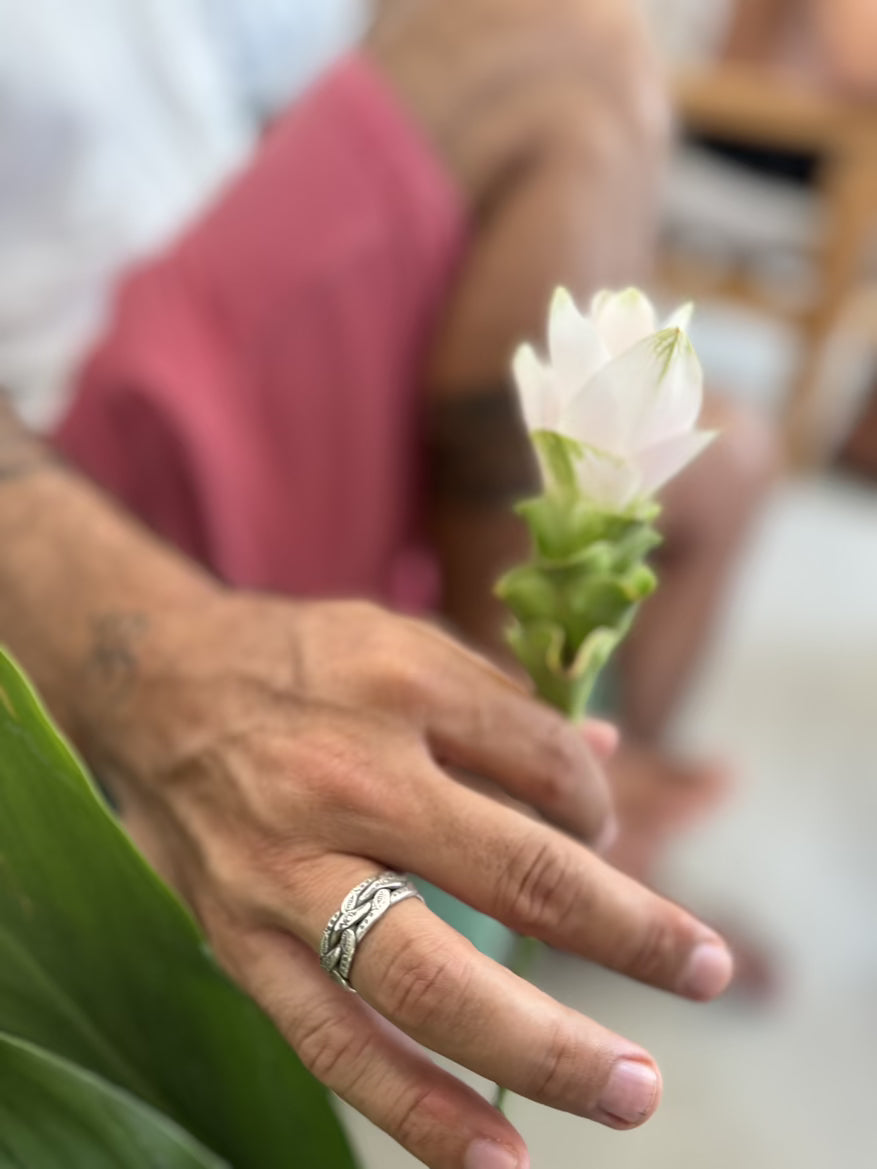 Hand holding a white flower with a blurred background