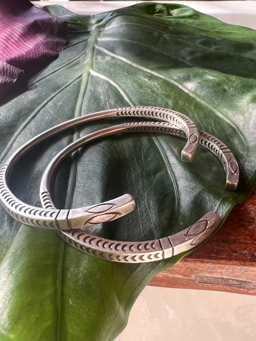 Two bronze bracelets on a large green leaf