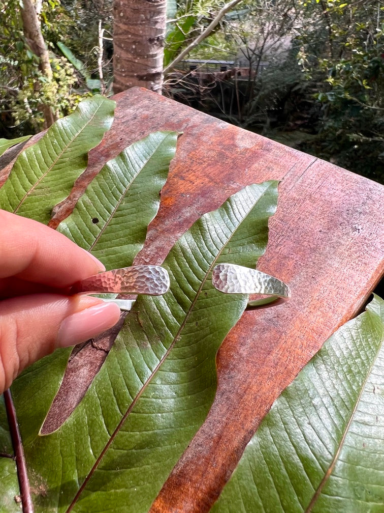 Hand holding a leaf with a large green leaf in the background